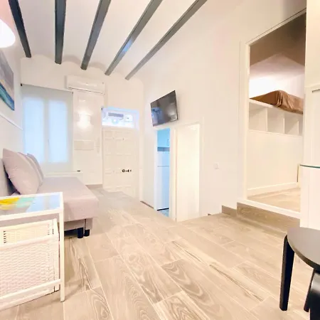 Apartment Paseo Del Olmo *