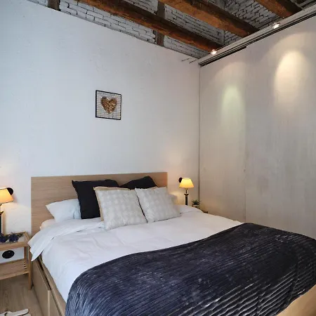 My - Wonderful Apartament At La Latina Madrid