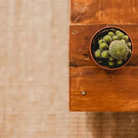 Charming Design Reina Sofia Apartment