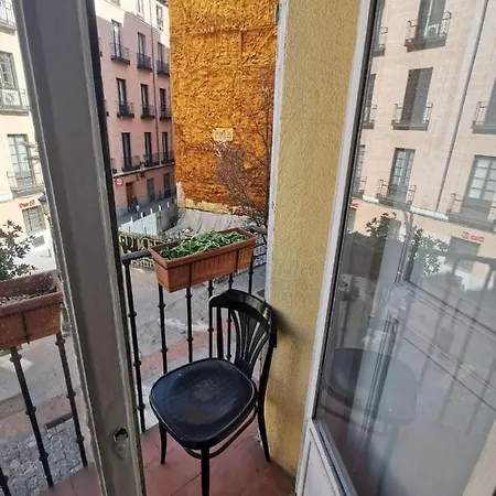 Guest house Arta Madrid