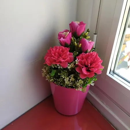 Hostal Inn Madrid بيت ضيافة 2*