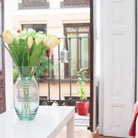 Estudio Magdalena, Pleno Centro De Madrid