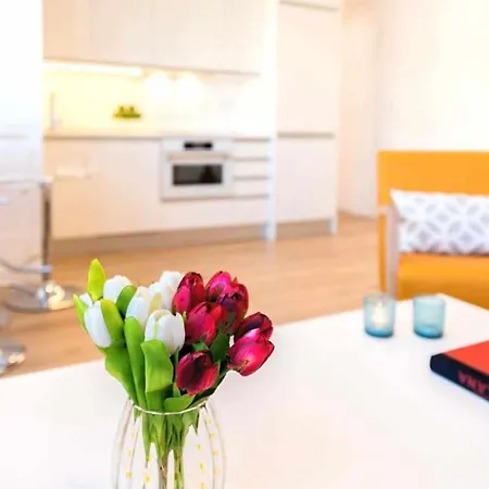 El Viso Smart Ii Apartment Madrid