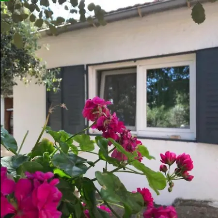 Jara Y Enebro Holiday home *