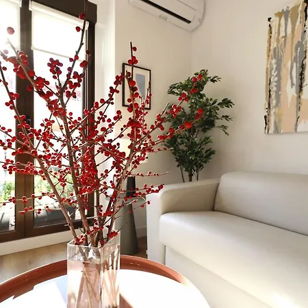 Reina Sofia Boutique Ii Apartment Madrid