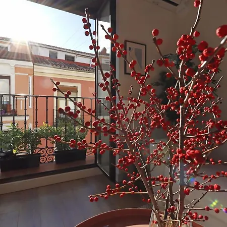 Reina Sofia Boutique Ii Apartment *