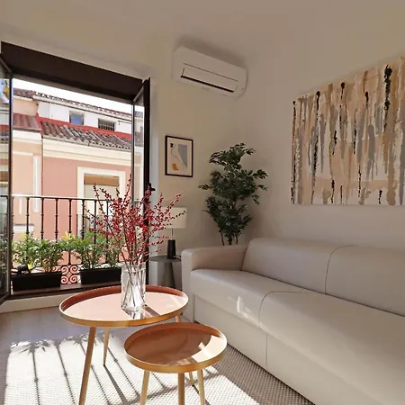 Reina Sofia Boutique Ii Apartment