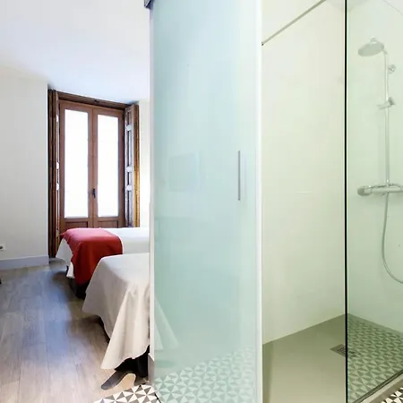 Lofts Puerta Del Sol Apartment *