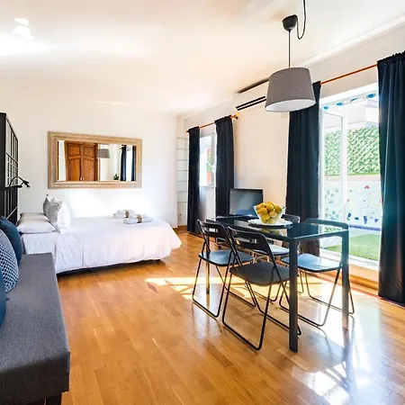 Bright Penthouse With Terrace In Center Apartment