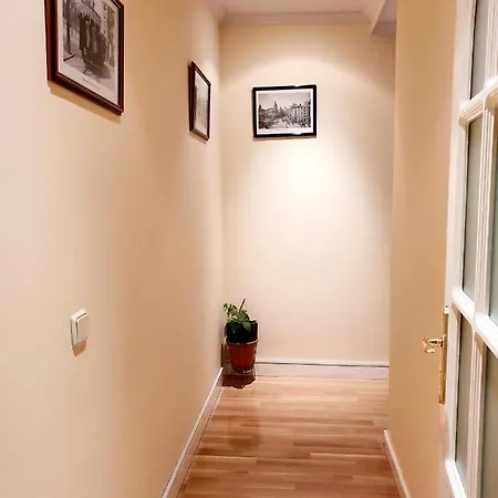 Apartment Luxury House-hermosa Vivienda Lujo-appart De Luxe Madrid