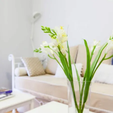 Charming Gran Via Luna Apartment
