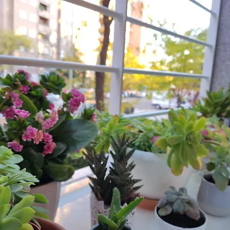 El Pozo-villalobos Appartement *