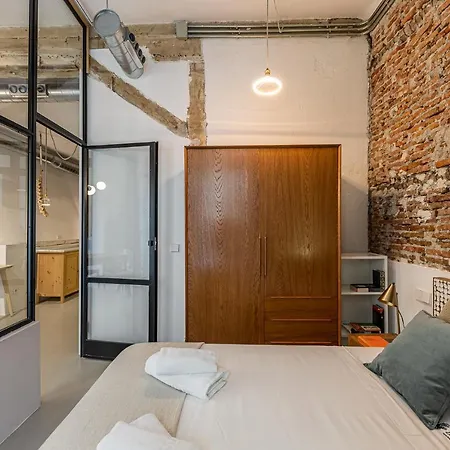 Waou Art Loft La Latina Apartment Madrid
