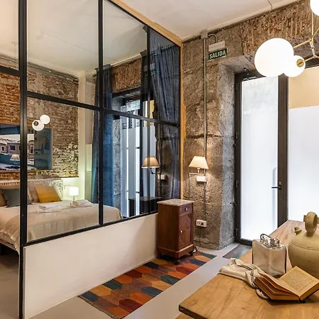 Waou Art Loft La Latina Madrid