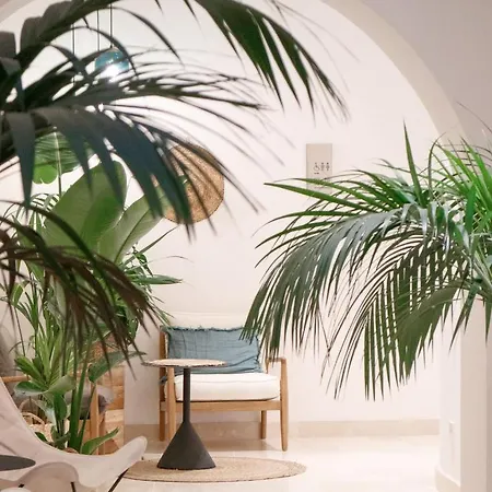 Guest house Casa Du Soleil Boutique