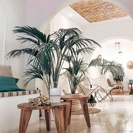 Casa Du Soleil Boutique * Madrid