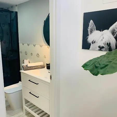Coco Homes * Madrid