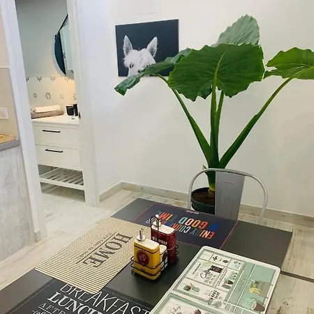 Coco Homes Apartment