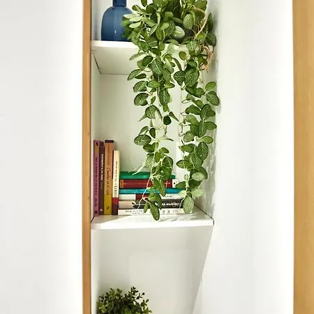 Estudio Turistico Moderno Chamberi Madrid