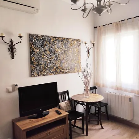 Acogedor Apartamento En La Latina Madrid