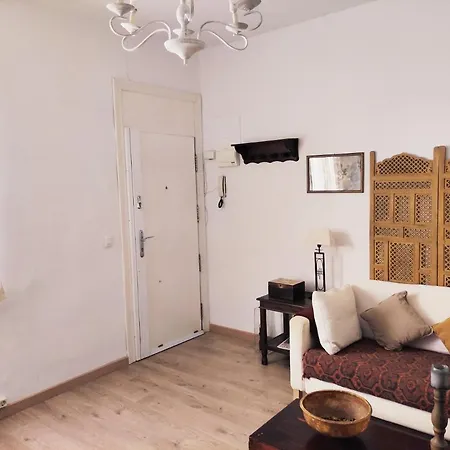 Acogedor Apartamento En La Latina Apartamento Madrid