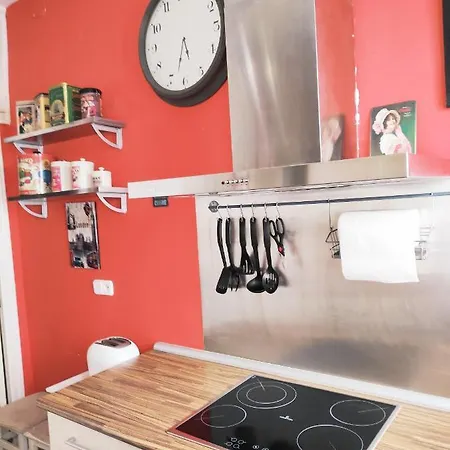 Acogedor Apartamento En La Latina Madrid