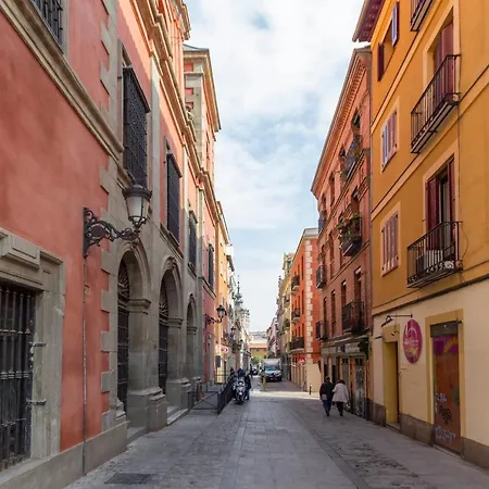 Apartment Homelike Malasana Madrid