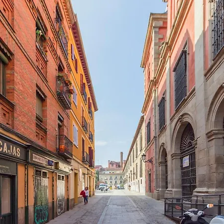 Apartment Homelike Malasana Madrid