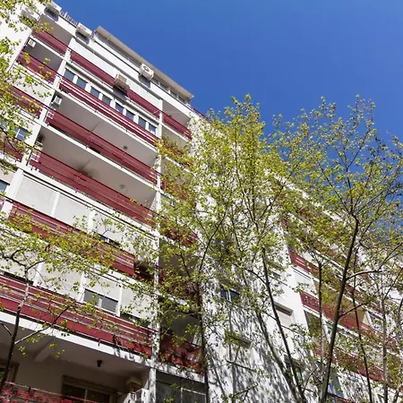 Dobohomes - Clara Del Rey *