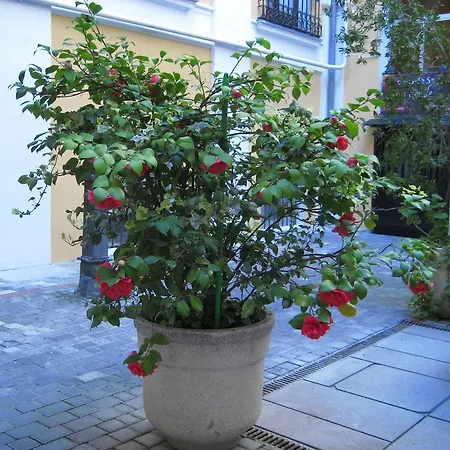 Huespedes Toledo