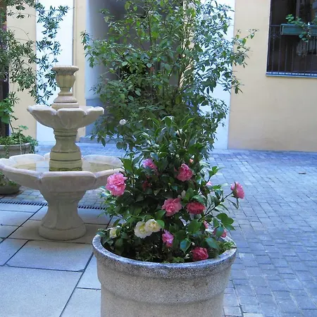 Huespedes Toledo Guest house *