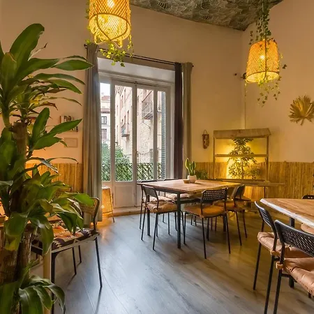 Social - Kitchen - Apartment