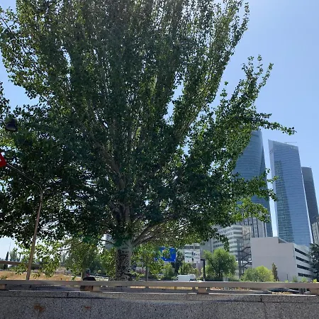 4torres Homes - Carmen Madrid