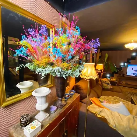 Excellent Penthouse In The Center Appartement