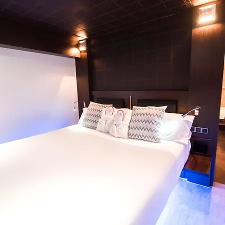 Hotell Petit Palace President Castellana
