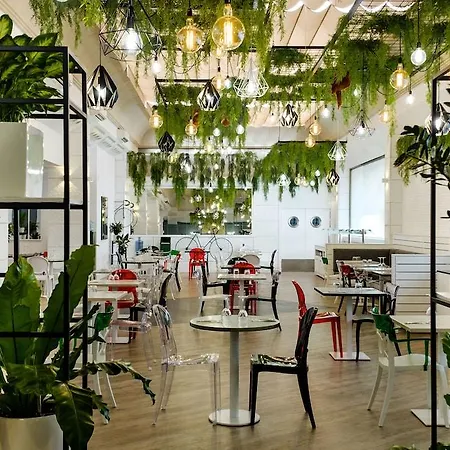 Clement Barajas Hotel