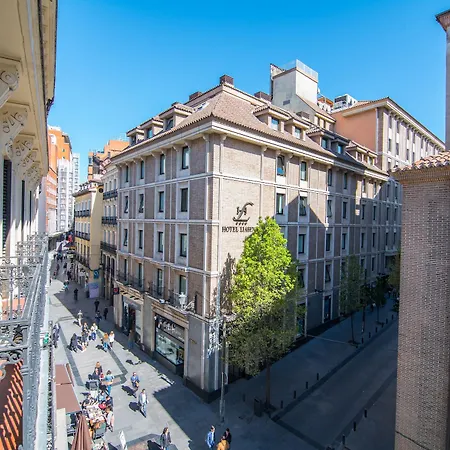 Hotel Petit Palace Preciados Madryt