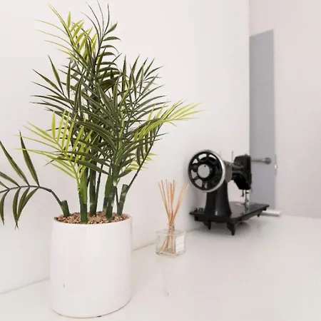 Apartment Minty - Velarde