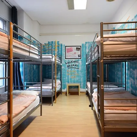 Bed By Bossh!