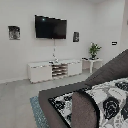 Homely Apartament Apartment