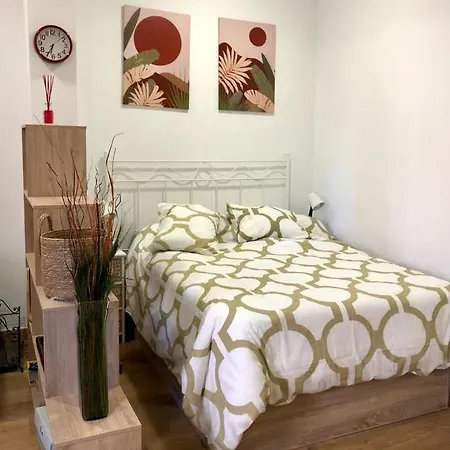 Appartement Lavapies Al Lado Del Rastro *