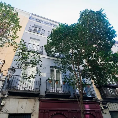 Apa 23678 Madrid