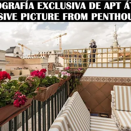 Principe Мадрид