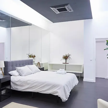 Apartamento Loft Principe Pio *