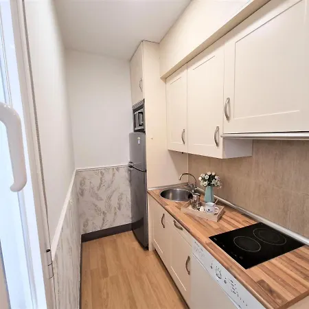Apartamento Molina - La Latina Madrid