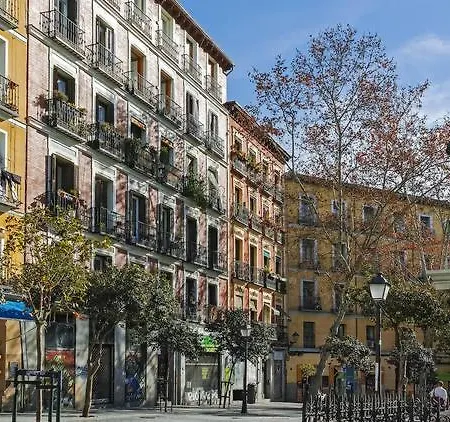 Apartament Citymad Six