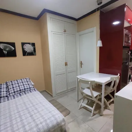 Estudio Lorenzo Acogedor Temporal Appartement Madrid