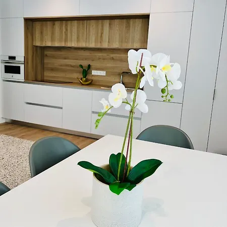 Loft Near Real Stadium * Madrid