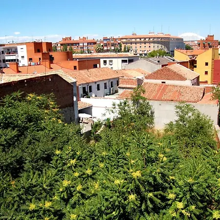 Cinco Rosas Madrid
