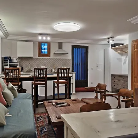 Apartment Loft In Beautiful 19th Century House *